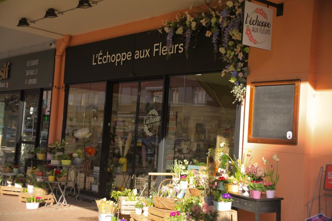 Printemps :  en cours de chargement photo 5